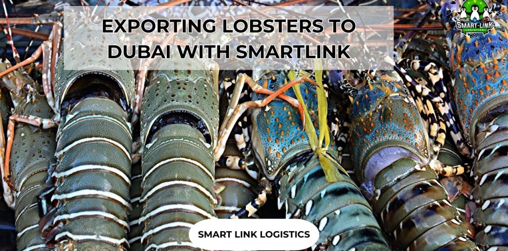 EXPORTING LOBSTERS TO DUBAI WITH SMARTLINK