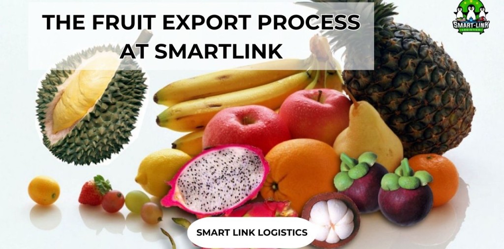 THE FRUIT EXPORT PROCESS AT SMARTLINK