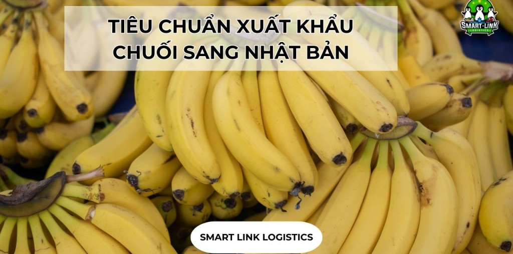 TIÊU CHUẨN XUẤT KHẨU CHUỐI SANG NHẬT BẢN