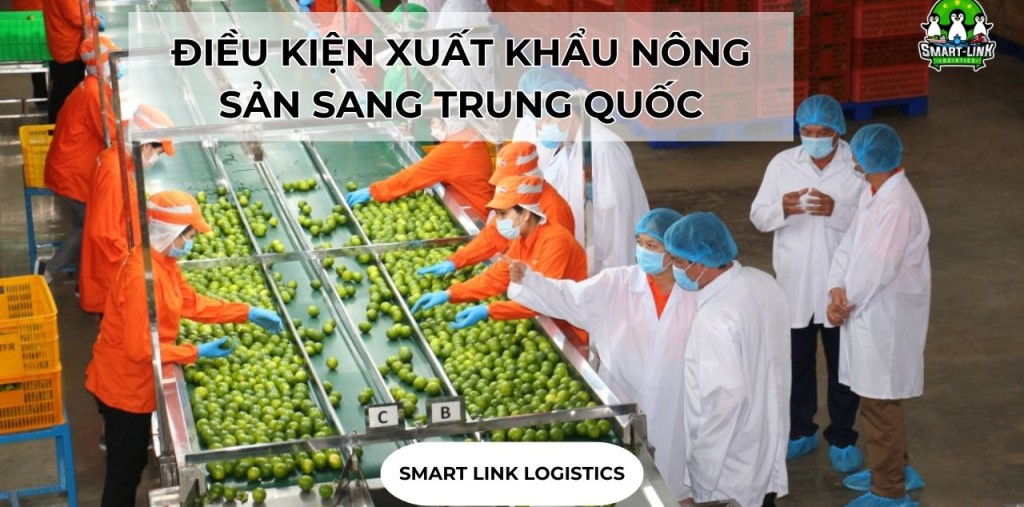 ĐIỀU KIỆN XUẤT KHẨU NÔNG SẢN SANG TRUNG QUỐC