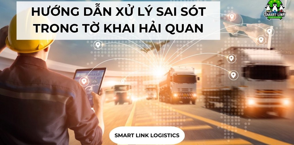 HƯỚNG DẪN XỬ LÝ SAI SÓT TRONG TỜ KHAI HẢI QUAN