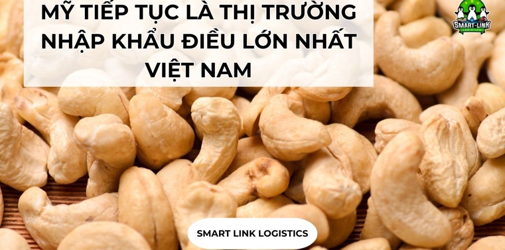 MỸ TIẾP TỤC LÀ THỊ TRƯỜNG NHẬP KHẨU ĐIỀU LỚN NHẤT VIỆT NAM