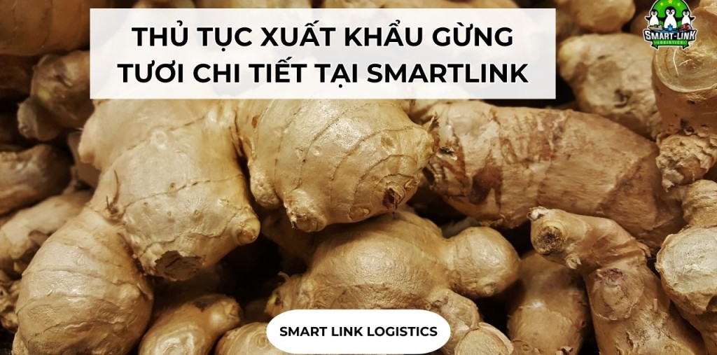 THỦ TỤC XUẤT KHẨU GỪNG TƯƠI CHI TIẾT TẠI SMARTLINK