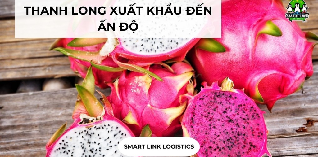 THANH LONG XUẤT KHẨU ĐẾN ẤN ĐỘ