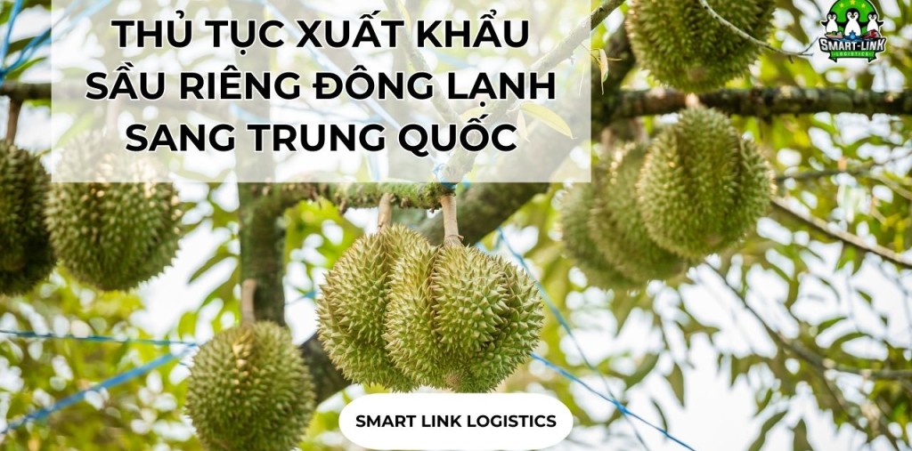 THỦ TỤC XUẤT KHẨU SẦU RIÊNG ĐÔNG LẠNH SANG TRUNG QUỐC