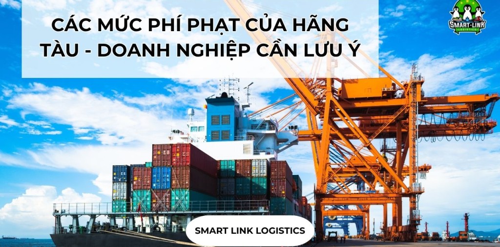 CÁC MỨC PHÍ PHẠT CỦA HÃNG TÀU – DOANH NGHIỆP CẦN LƯU Ý