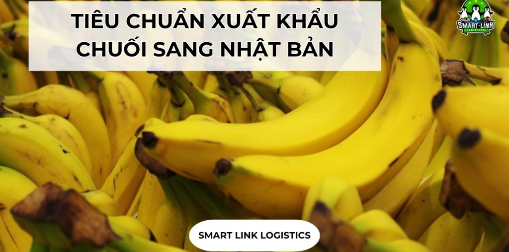 TIÊU CHUẨN XUẤT KHẨU CHUỐI SANG NHẬT BẢN CHI TIẾT