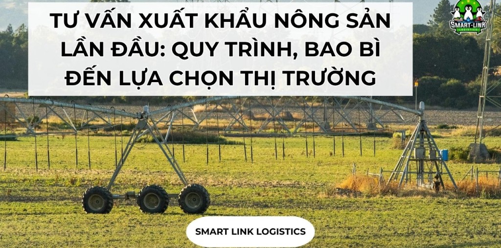 TƯ VẤN XUẤT KHẨU NÔNG SẢN LẦN ĐẦU: QUY TRÌNH, BAO BÌ ĐẾN LỰA CHỌN THỊ TRƯỜNG PHÙ HỢP