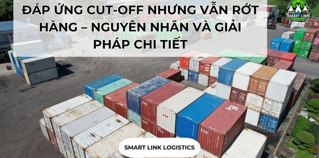 ĐÁP ỨNG CUT-OFF NHƯNG VẪN RỚT HÀNG – NGUYÊN NHÂN VÀ GIẢI PHÁP CHI TIẾT