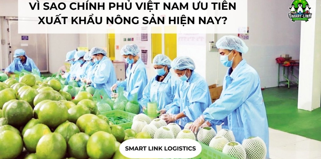 VÌ SAO CHÍNH PHỦ VIỆT NAM ƯU TIÊN XUẤT KHẨU NÔNG SẢN HIỆN NAY?