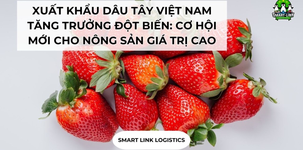 XUẤT KHẨU DÂU TÂY VIỆT NAM TĂNG TRƯỞNG ĐỘT BIẾN: CƠ HỘI MỚI CHO NÔNG SẢN GIÁ TRỊ CAO
