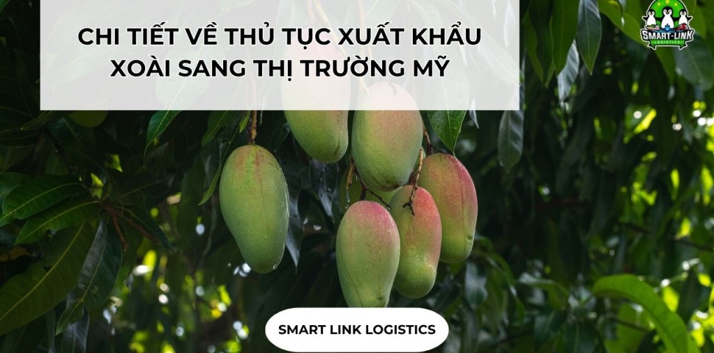 CHI TIẾT VỀ THỦ TỤC XUẤT KHẨU XOÀI SANG THỊ TRƯỜNG MỸ