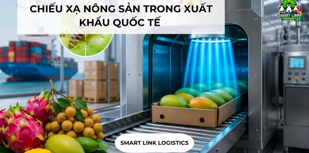 CHIẾU XẠ NÔNG SẢN TRONG XUẤT KHẨU QUỐC TẾ 