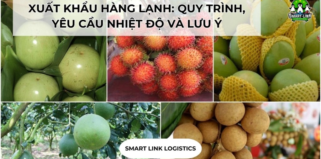 XUẤT KHẨU HÀNG LẠNH: QUY TRÌNH, YÊU CẦU NHIỆT ĐỘ VÀ LƯU Ý QUAN TRỌNG