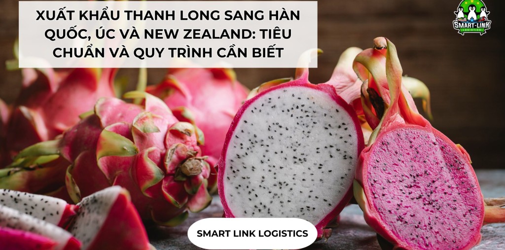 XUẤT KHẨU THANH LONG SANG HÀN QUỐC, ÚC VÀ NEW ZEALAND: TIÊU CHUẨN VÀ QUY TRÌNH CẦN BIẾT