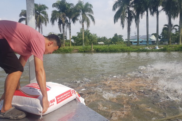 Xuất khẩu thủy hải sản lập kỳ tích nhờ nuôi trồng
