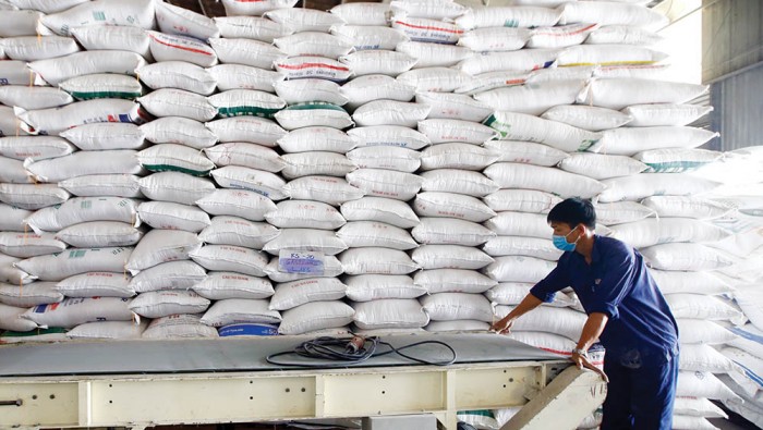 Nhập khẩu gạo Ấn Độ về Việt Nam tăng bất thường