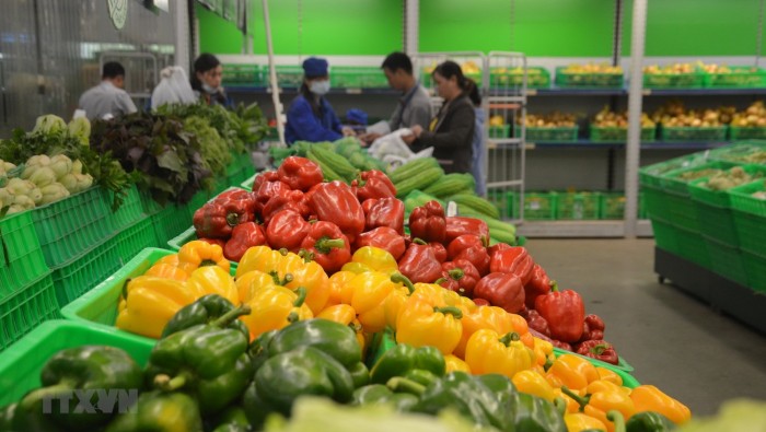 Ngành rau quả xuất sang Trung Quốc giảm hơn 30%