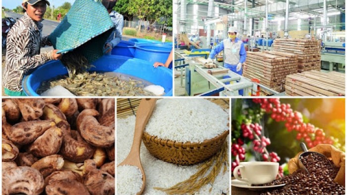 Vì sao nông sản Việt thụ động và phụ thuộc thị trường Trung Quốc?