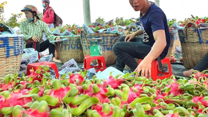 Lập sàn giao dịch nông sản Đồng bằng sông Cửu Long