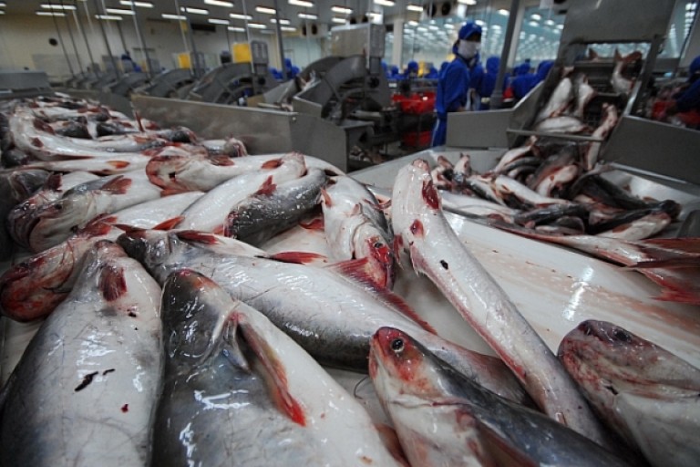 Cách đưa thuỷ hải sản Việt Nam lên tốp đầu thế giới