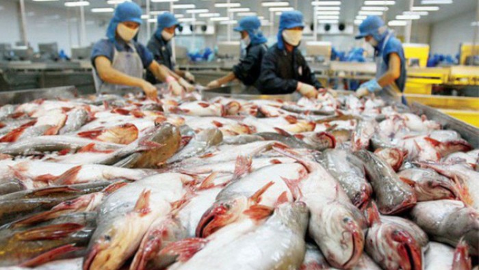 Khủng hoảng lương thực ở Châu Âu, cơ hội cho cá tra Việt Nam ?