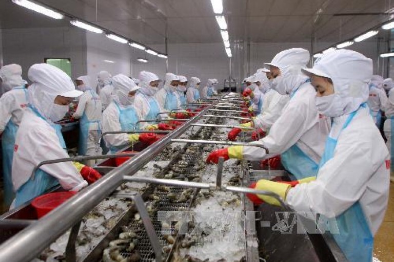 EU đang ở đâu trong bức tranh xuất khẩu thuỷ hải sản Việt Nam?
