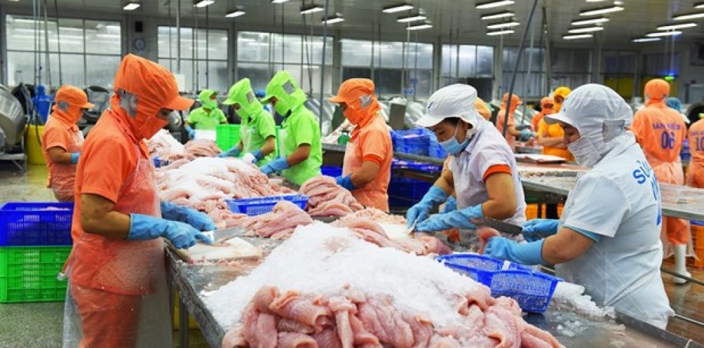 Mexico trở thành điểm sáng trong xuất khẩu cá tra của Việt Nam