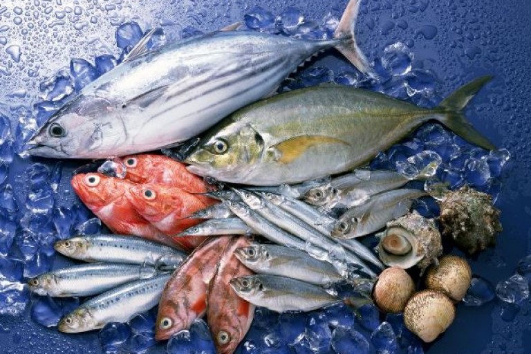 Vì sao nhiều siêu thị Nhật Bản thích nhập khẩu thủy hải sản Việt Nam?