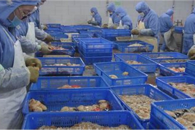 Chỉ vì cái khay nhựa, một doanh nghiệp thuỷ hải sản Việt mất thị trường xuất khẩu vào EU
