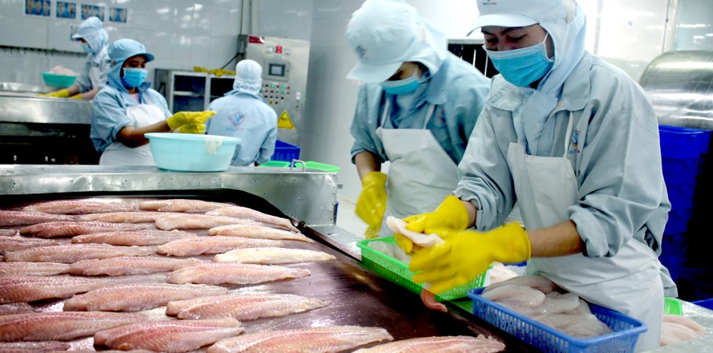 XUẤT KHẨU THỦY HẢI SẢN VÀ CÂU CHUYỆN XÂY DỰNG THƯƠNG HIỆU CHO DOANH NGHIỆP