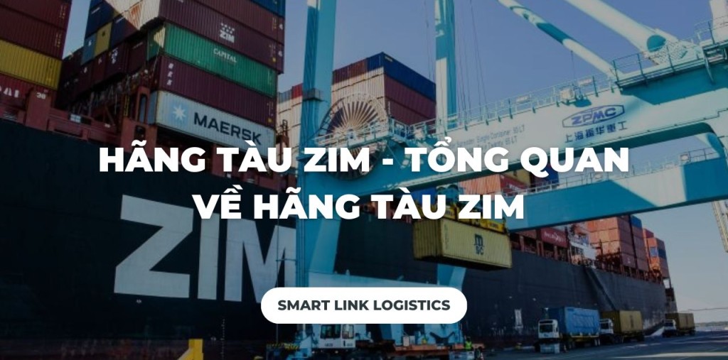 HÃNG TÀU ZIM – TỔNG QUAN VỀ HÃNG TÀU ZIM