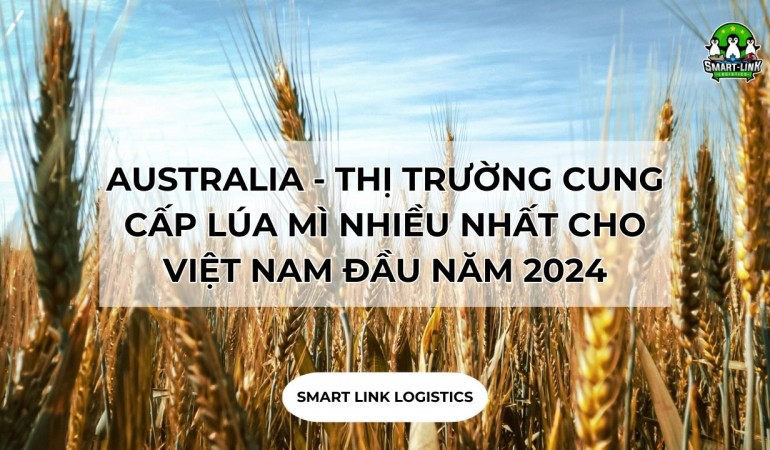 AUSTRALIA – THỊ TRƯỜNG CUNG CẤP LÚA MÌ NHIỀU NHẤT CHO VIỆT NAM ĐẦU NĂM 2024